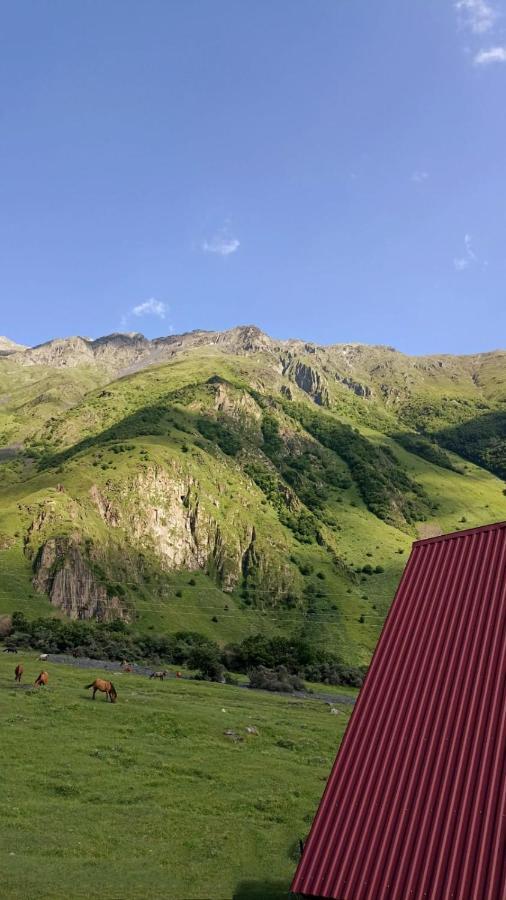 Mountain Flower Cottage Kazbegi Exterior foto